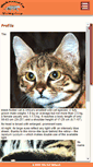 Mobile Screenshot of black-footed-cat.wild-cat.org